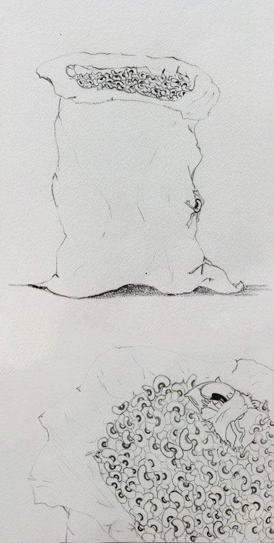 "Where Sillybean Sleeps", pencil on paper, 2018.